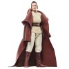 Star Wars Akolyta Majster Jedi Indara figúrka 15cm