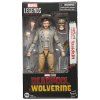 Séria Marvel Legends Deadpool a Wolverine - Headpool s figúrkou Marvels Logan 15cm