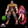 Marvel Legends Series Inhumans Medusa & Gorgon pack 2 figúrky